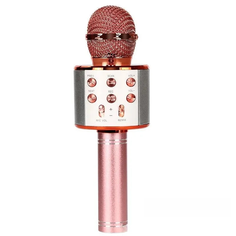 5-in-1 Bluetooth Karaoke Mic
