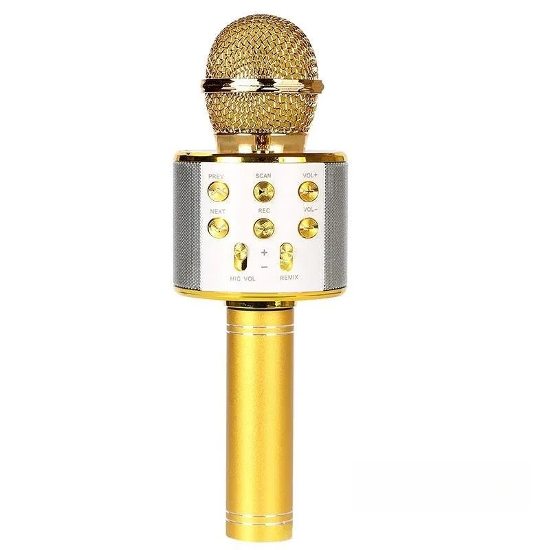 5-in-1 Bluetooth Karaoke Mic