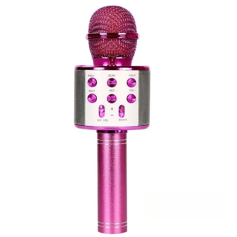 5-in-1 Bluetooth Karaoke Mic