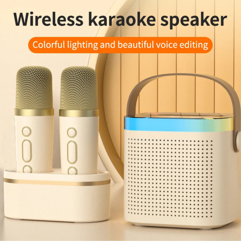 Wireless Karaoke Microphones for Home Singing (Set of 2)