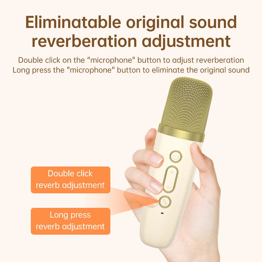 Wireless Karaoke Microphones for Home Singing (Set of 2)