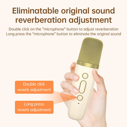 Wireless Karaoke Microphones for Home Singing (Set of 2)