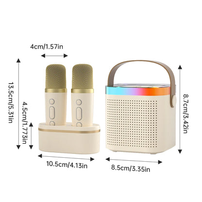Wireless Karaoke Microphones for Home Singing (Set of 2)