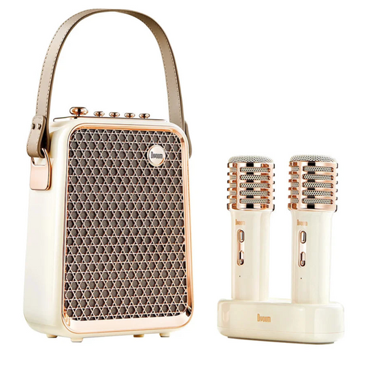 Portable Bluetooth Karaoke Speaker with Microphone