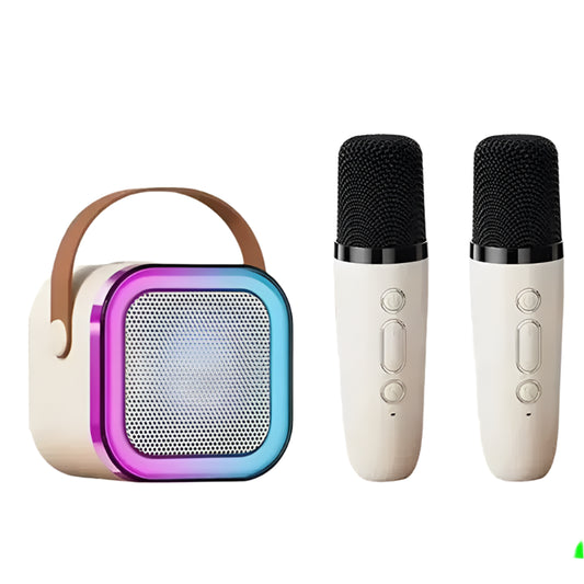 Portable Bluetooth Karaoke Speaker with Wireless Microphones