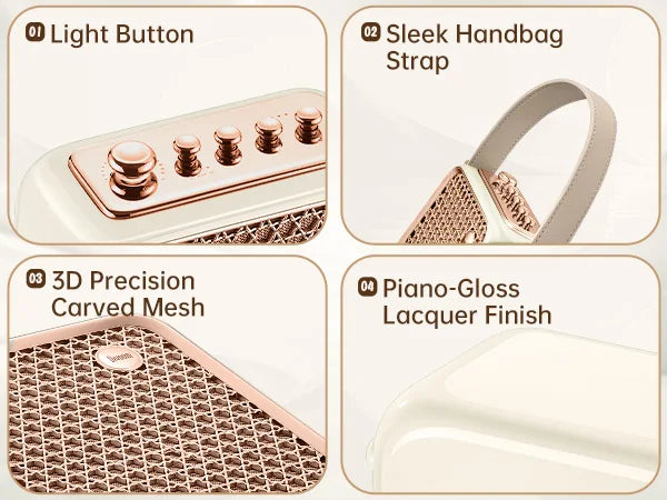 Portable Bluetooth Karaoke Speaker with Microphone