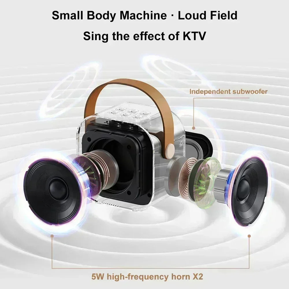 Portable Bluetooth Karaoke Speaker with Wireless Microphones