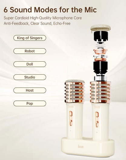 Portable Bluetooth Karaoke Speaker with Microphone